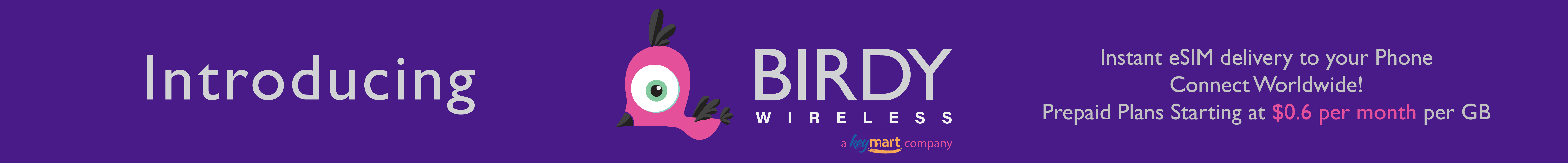 BirdyWireless.com Instant Travel eSIMS